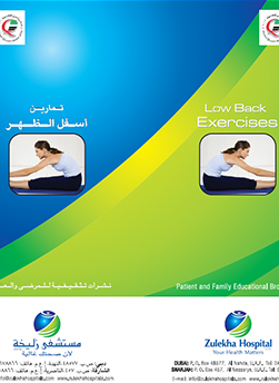 https://www.zulekhahospitals.com/uploads/leaflets_cover/26Low-Back.jpg