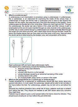 https://www.zulekhahospitals.com/uploads/leaflets_cover/32Ureteroscopy.jpg